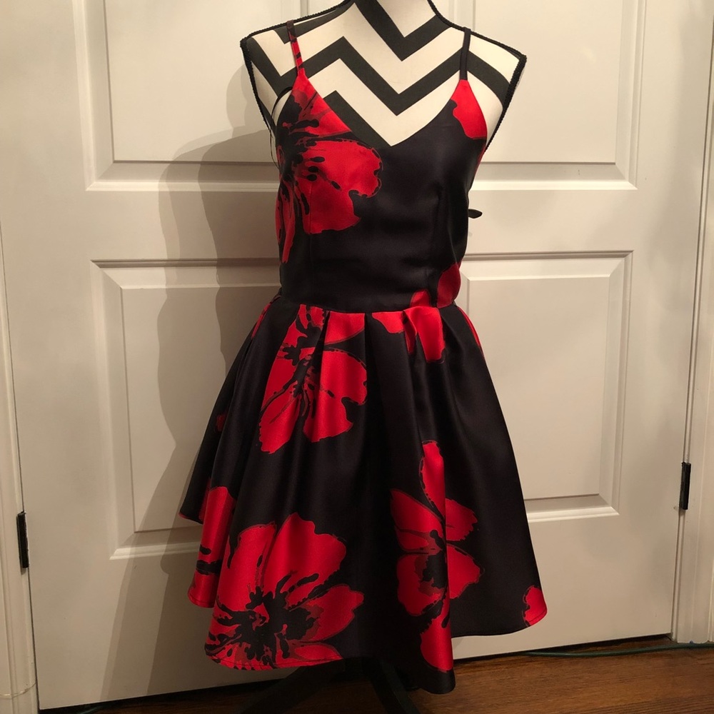Floral Dress - Picture 1 of 6